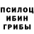 Галлюциногенные грибы мицелий Lolek Siwy
