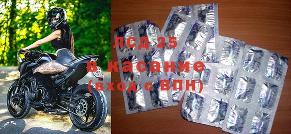 индика Сосновоборск