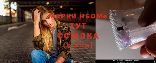 индика Сосновоборск