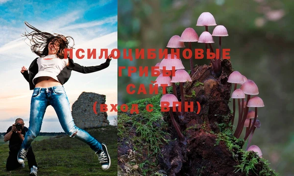 тгк Слюдянка