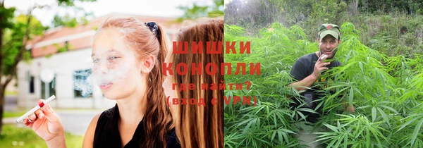 тгк Слюдянка